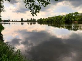 401 224 Sychrovský rybník - kontrola 10.6.22 (5).jpg